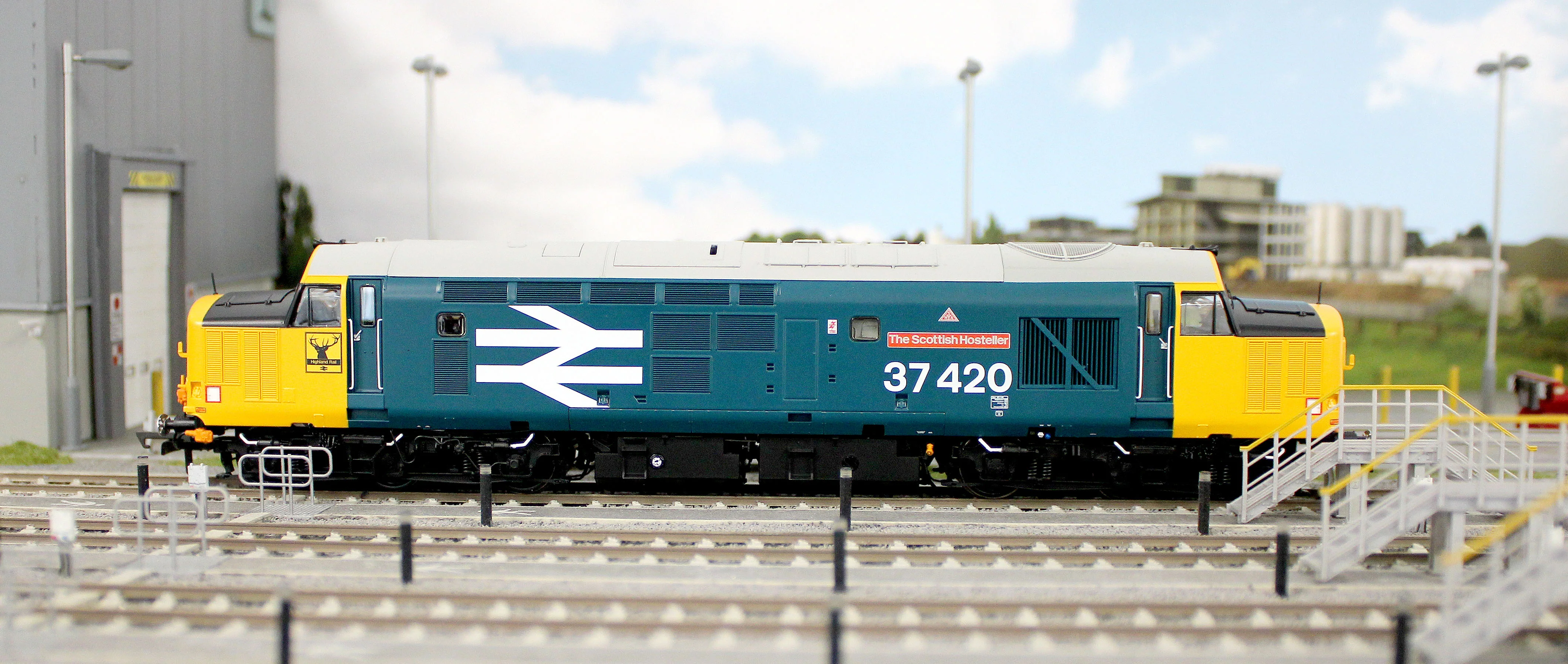ACC3153 Class 37 The Scottish Hosteller Large Logo (with Highland ‘Stag’) 37420 Diesel Locomotive - Image 11