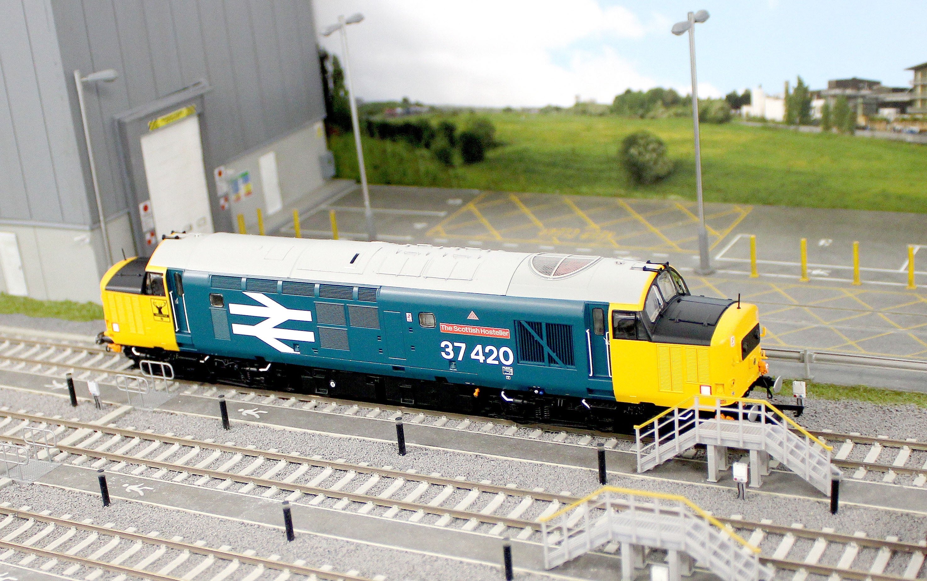 ACC3153 Class 37 The Scottish Hosteller Large Logo (with Highland ‘Stag’) 37420 Diesel Locomotive - Image 12