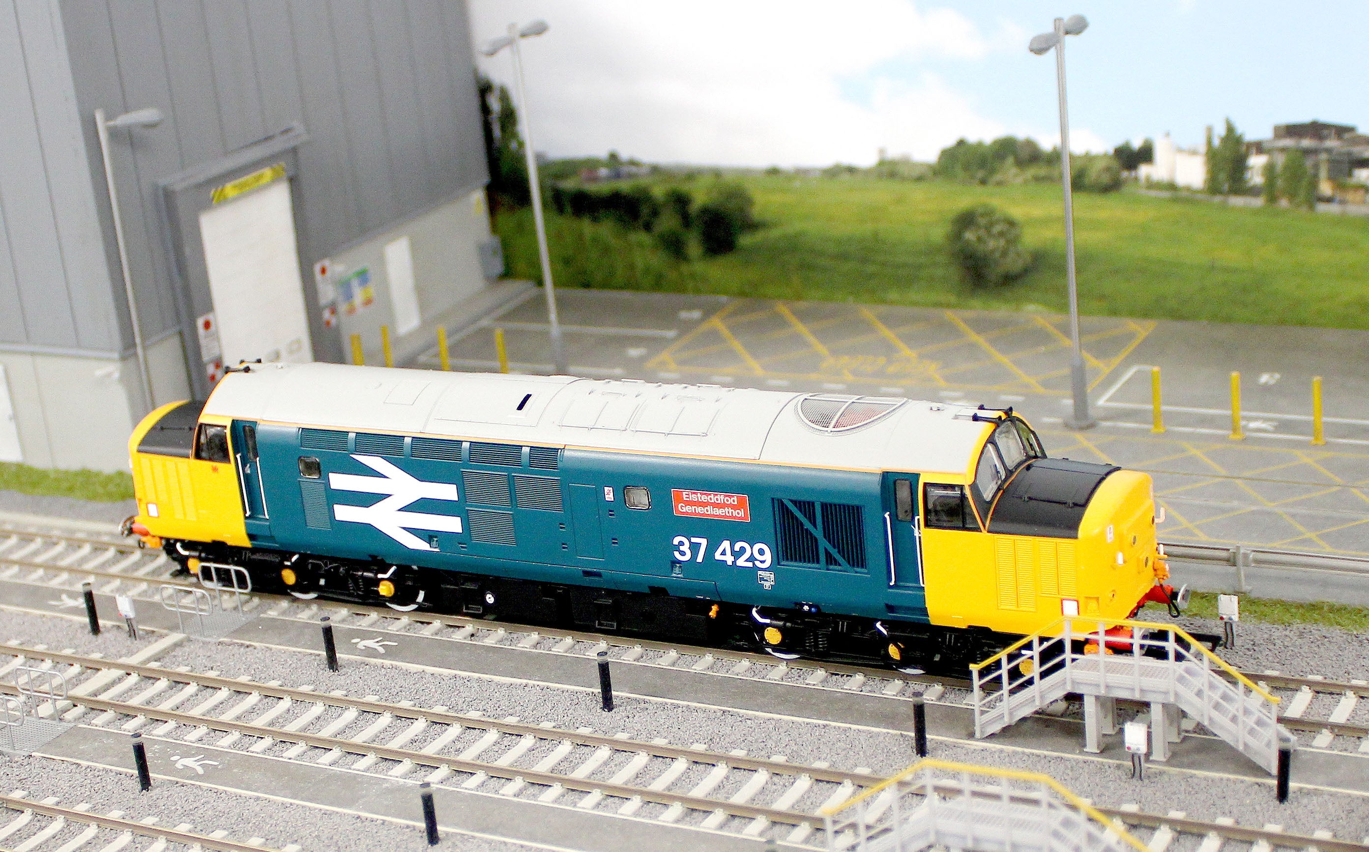 ACC3155 Class 37 Eisteddfod Genedlaethol Large Logo Blue (with Welsh Dragon) 37429 Diesel Locomotive - Image 13