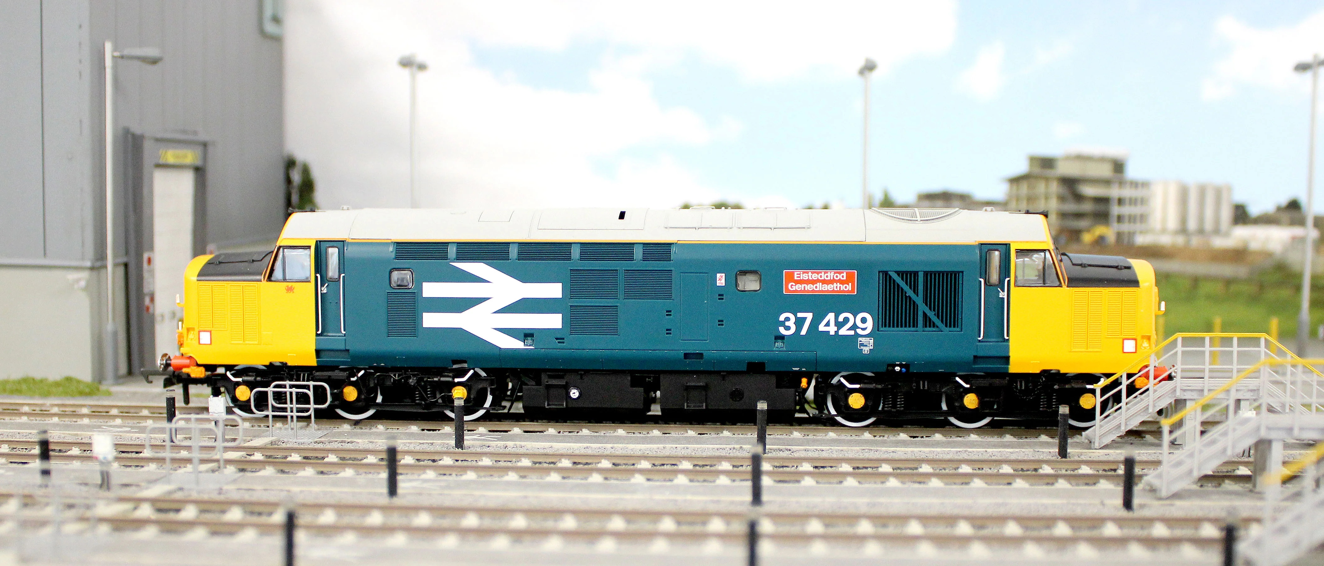 ACC3164-DCC Class 37 Eisteddfod Genedlaethol Large Logo Blue (with Welsh Dragon) 37429 Diesel Locomotive - DCC Sound - Image 12