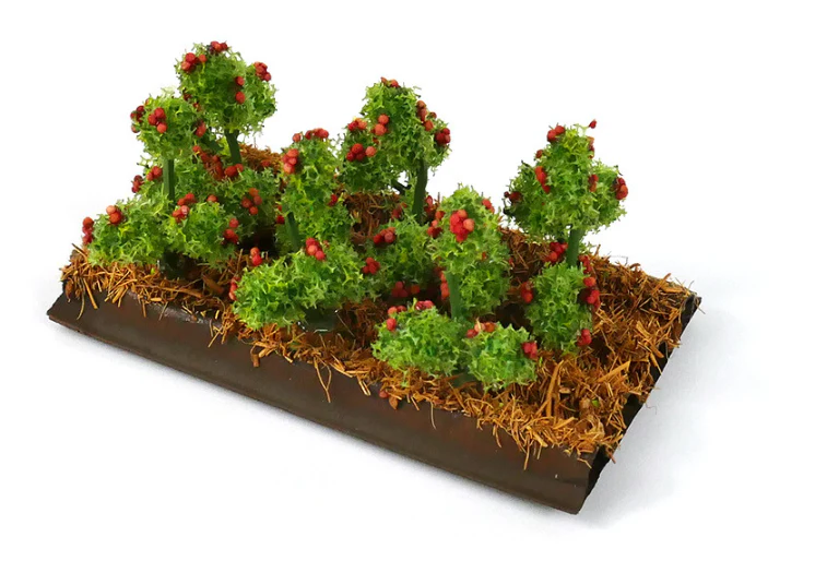 GM1620 Tomato Plants (6)