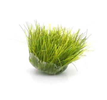 GM1631 Meadow Green 6mm Grass Tufts (42) - Image 2
