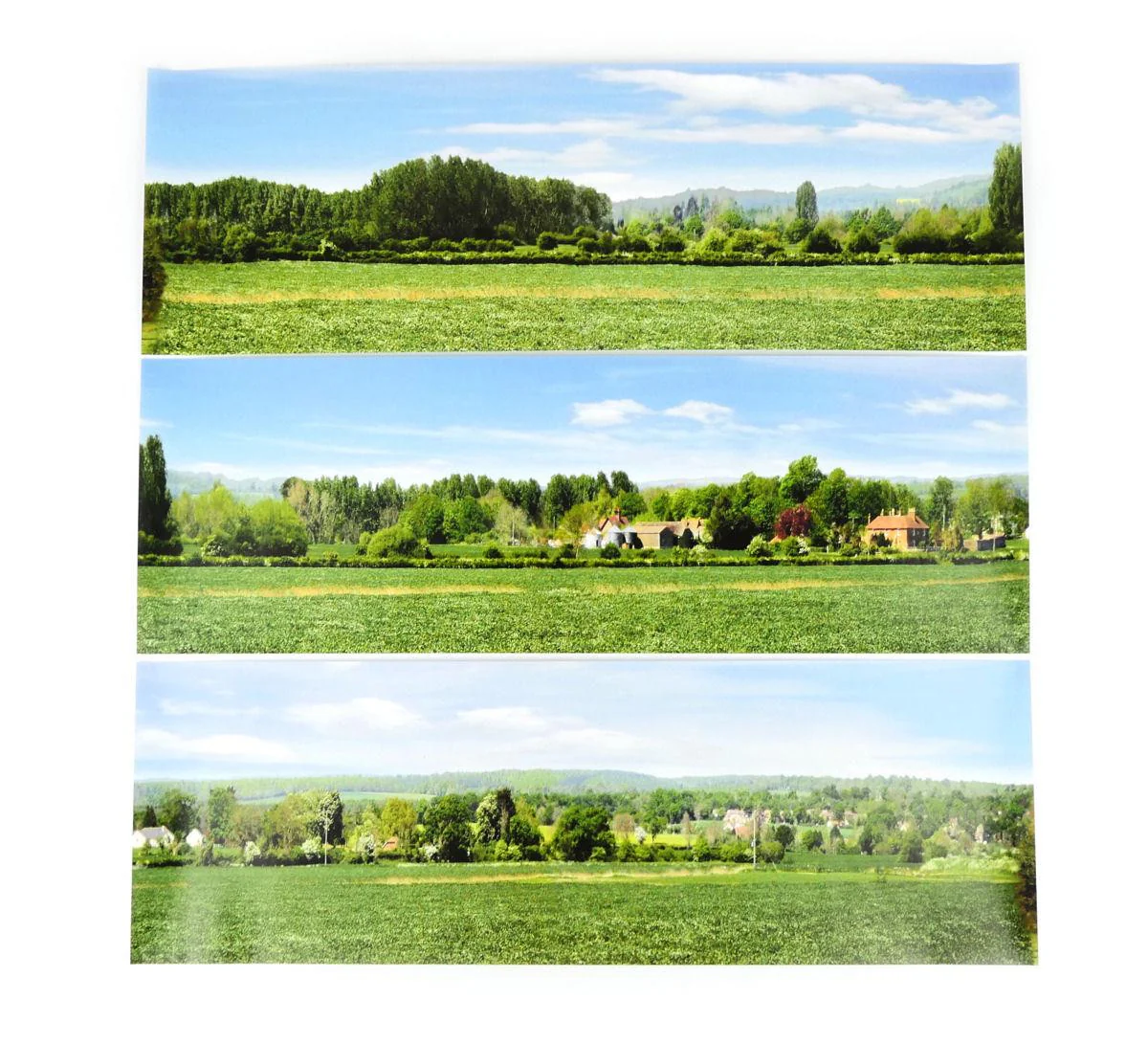 GM703 Large Backscene - Open Field (2744 x 304mm) - Image 2