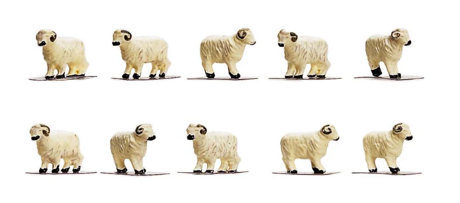 R7122 Sheep