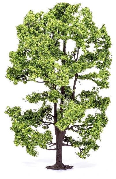 R7217 Acacia Tree