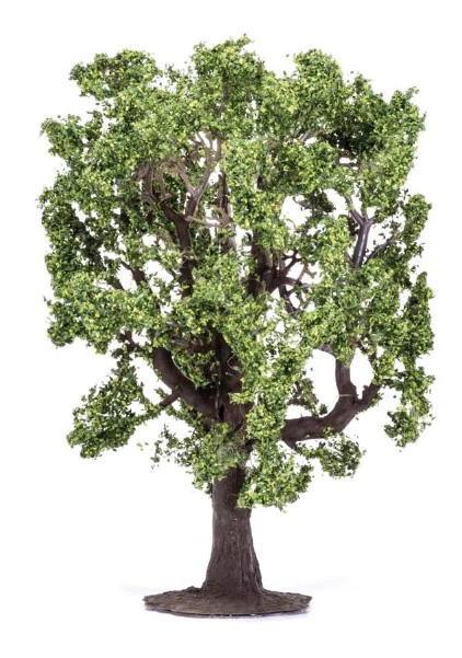 R7220 Oak Tree
