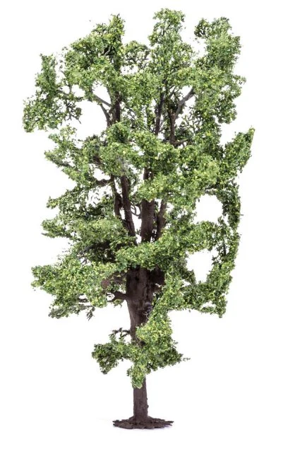 R7222 Horse-Chestnut Tree