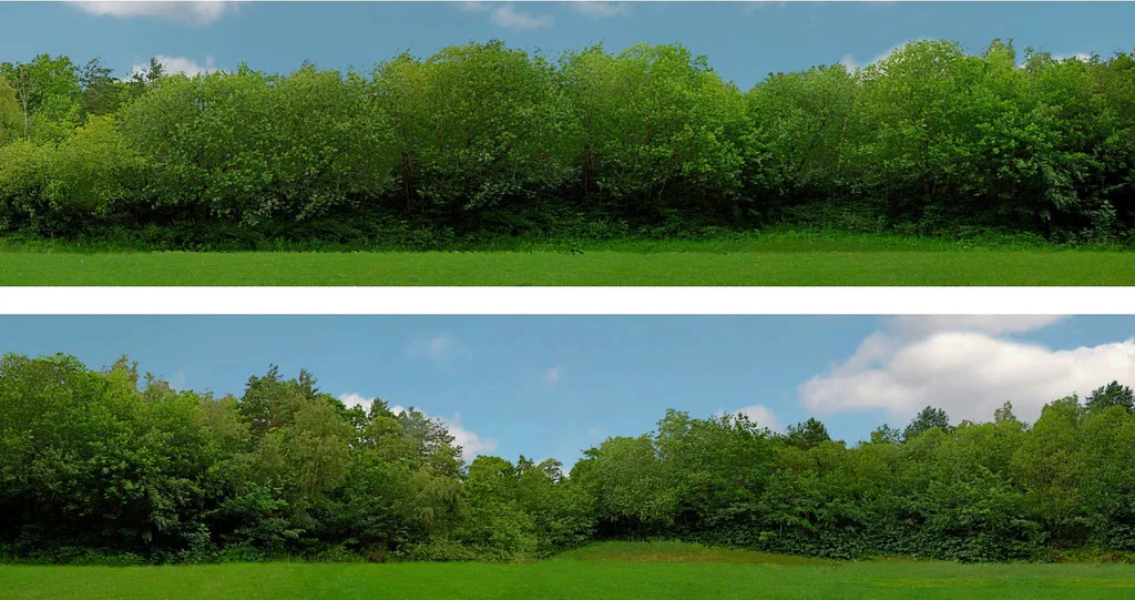 95291 Art Printers Tall Trees 149C OO Gauge 15" High Backscene