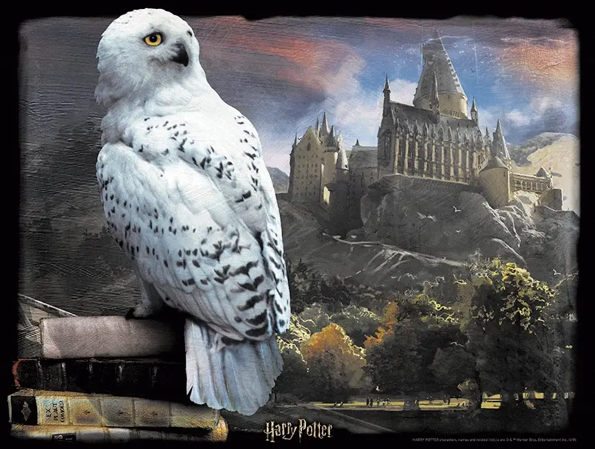 HP32514 Harry Potter 'Hedwig' 500 Piece 3D Jigsaw Puzzle - Image 2