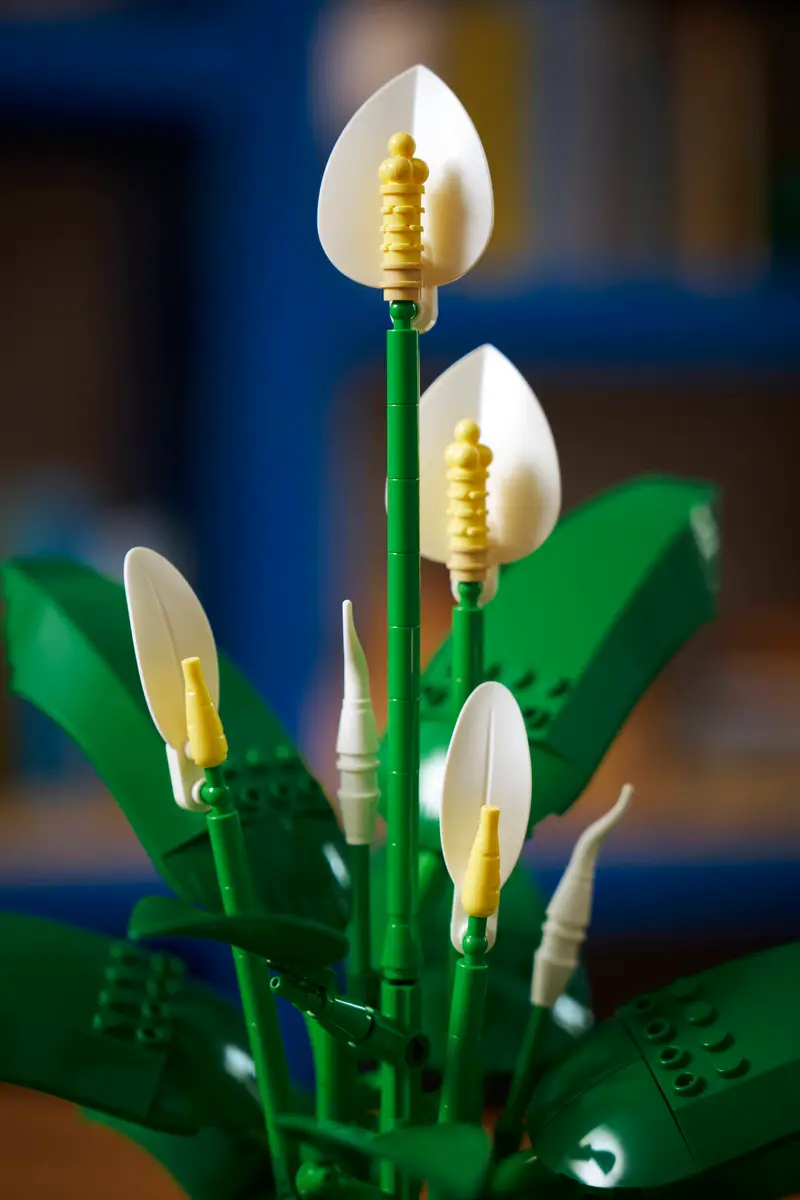 11504 Lego Botanicals Peace Lily - 11504 - Image 13