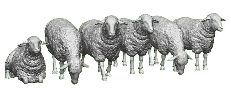 31201-148 N Gauge Pets, Wildlife & Livestock - Sheep - Pack of 6