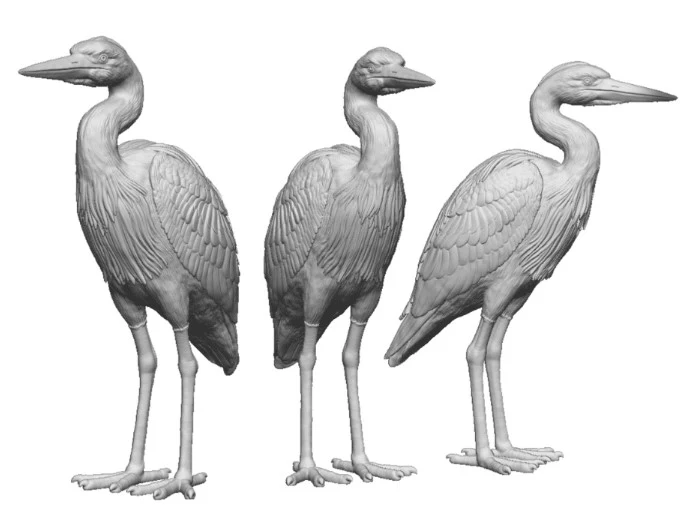 31405-043 O Gauge Pets, Wildlife & Livestock - Herons - Pack of 3