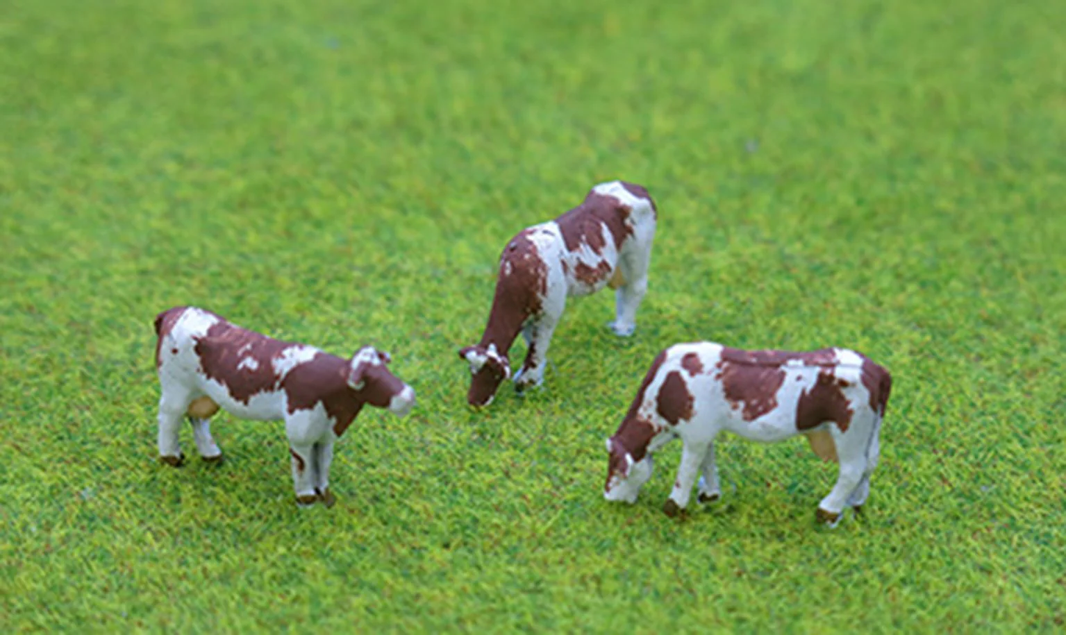 PDZ48 OO Gauge Cows