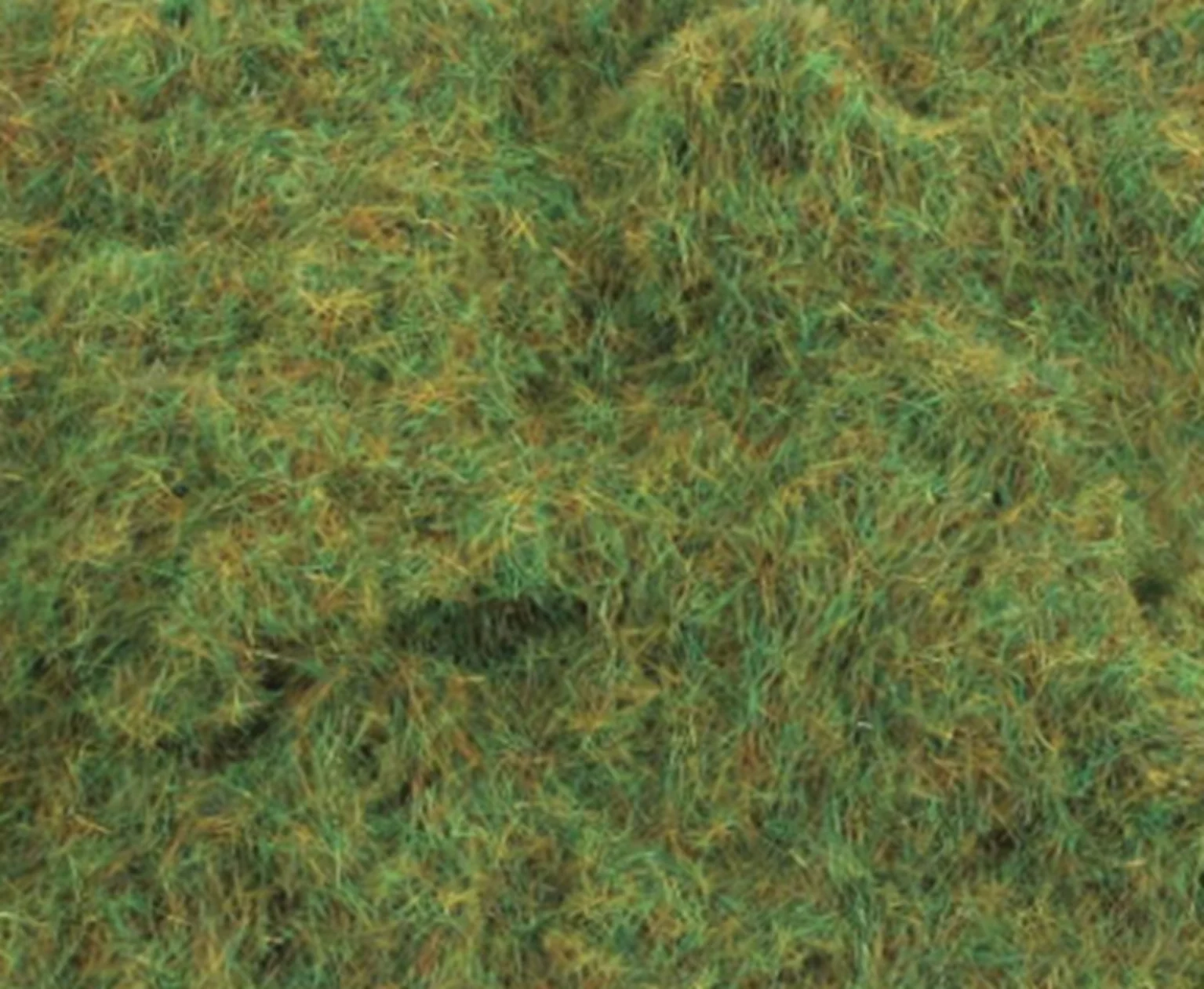 PSG-222 2mm Summer Grass