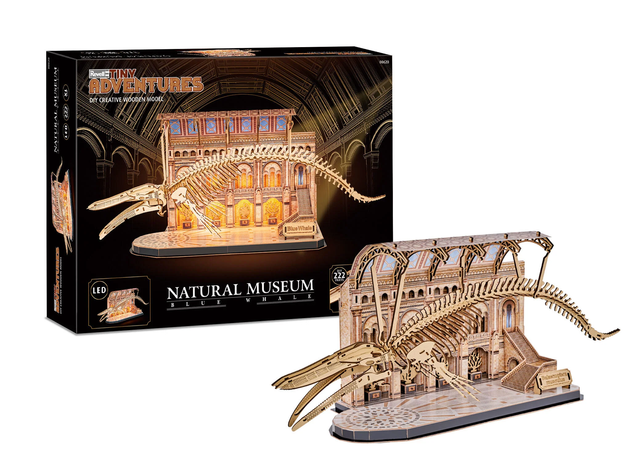00620 Natural Museum Blue Whale Tiny Adventures Model Kit
