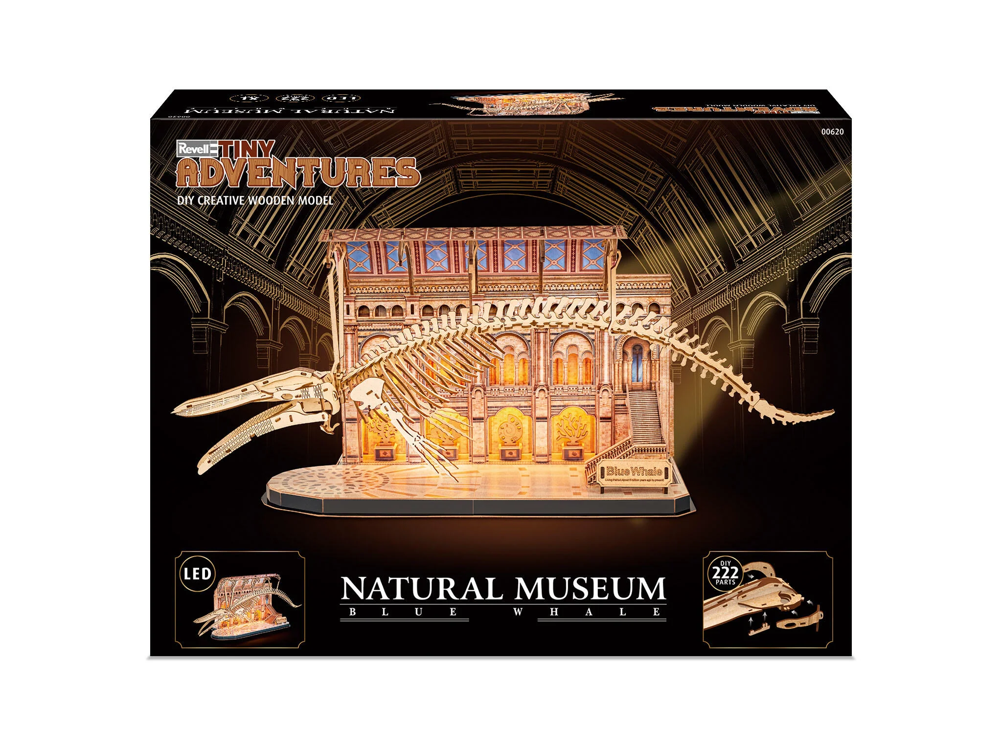 00620 Natural Museum Blue Whale Tiny Adventures Model Kit - Image 2