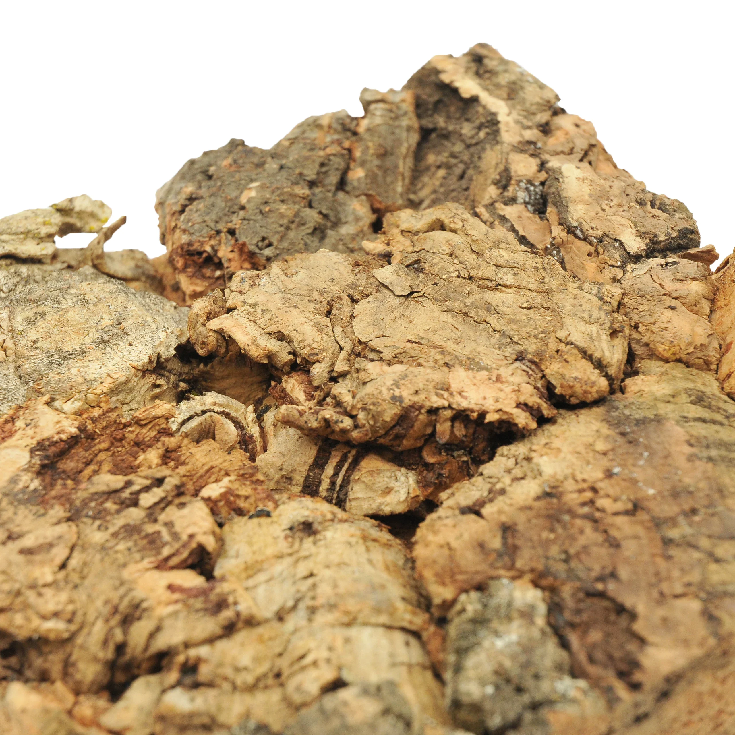 SPD-2010 Extra Large Cork Bark - 150 mm x 150 mm - 20mm Thick - Image 2