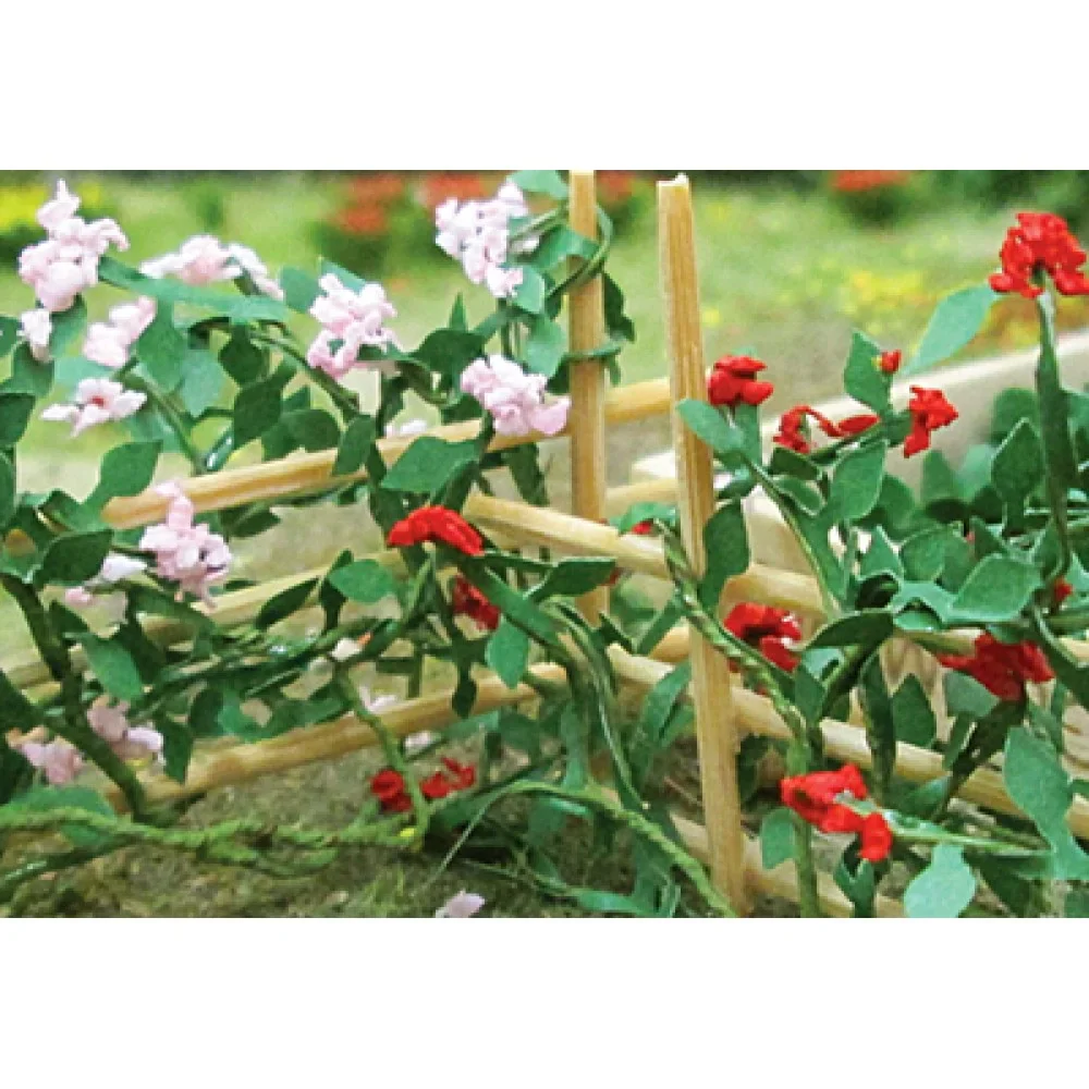 00678 - Climbing Roses (6/pack)