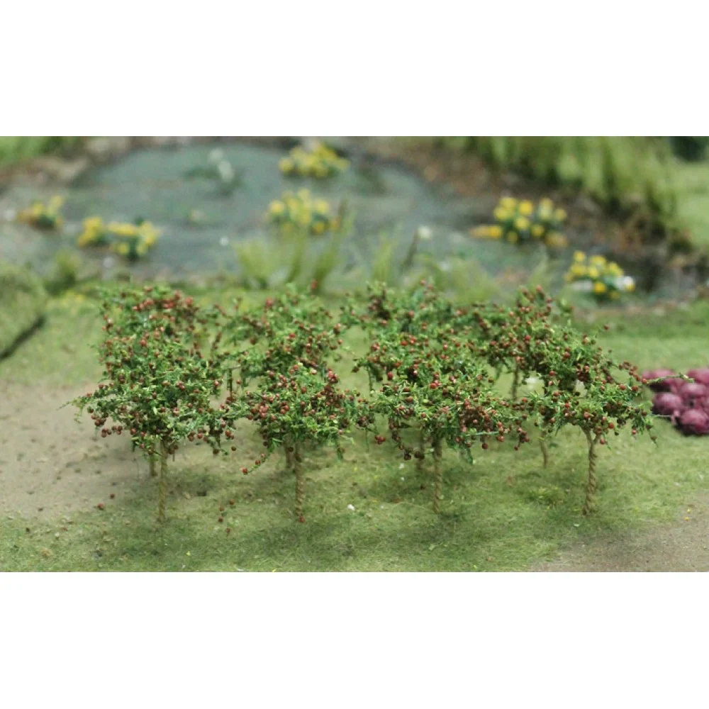 00379 - Apple Saplings (10 per pack)