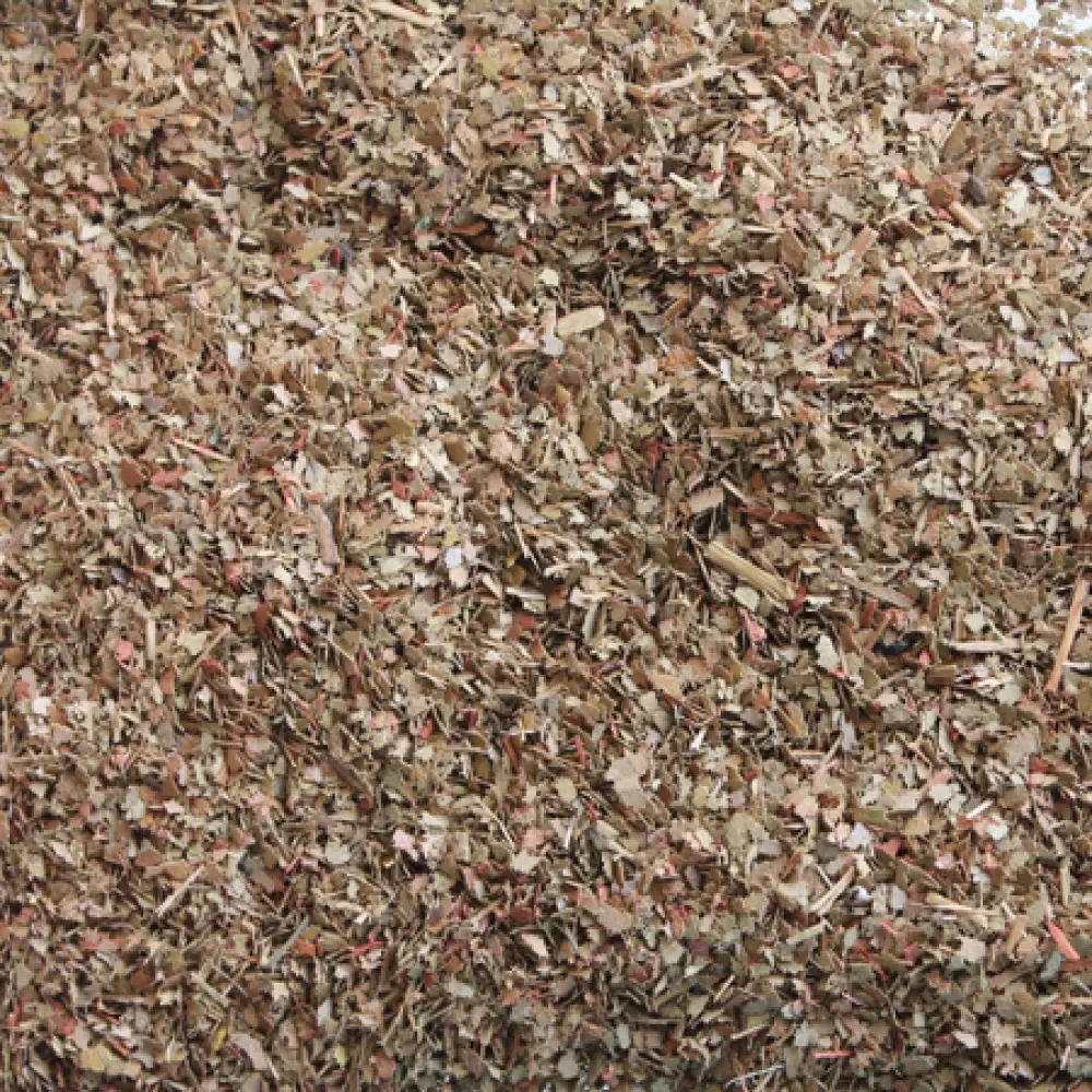 00935 Dried Leaves