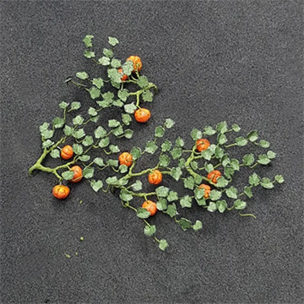 00991 Pumpkins (5/pack)