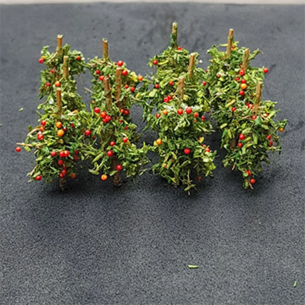 00993 Apple Saplings (12/pack)