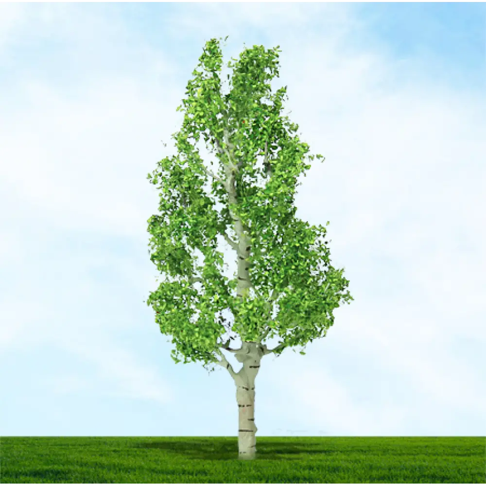 003934 Premium Trees N Gauge Birch 38/50mm (4/pack)