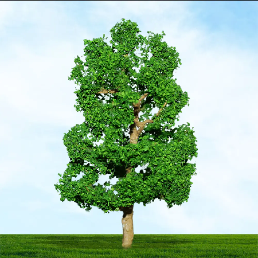 004047 Premium Trees N Gauge Sycamore 38/50mm (4/pk)