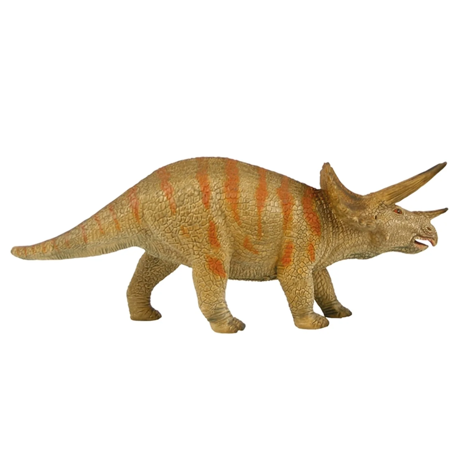 TW29104 Natural History Museum Triceratops
