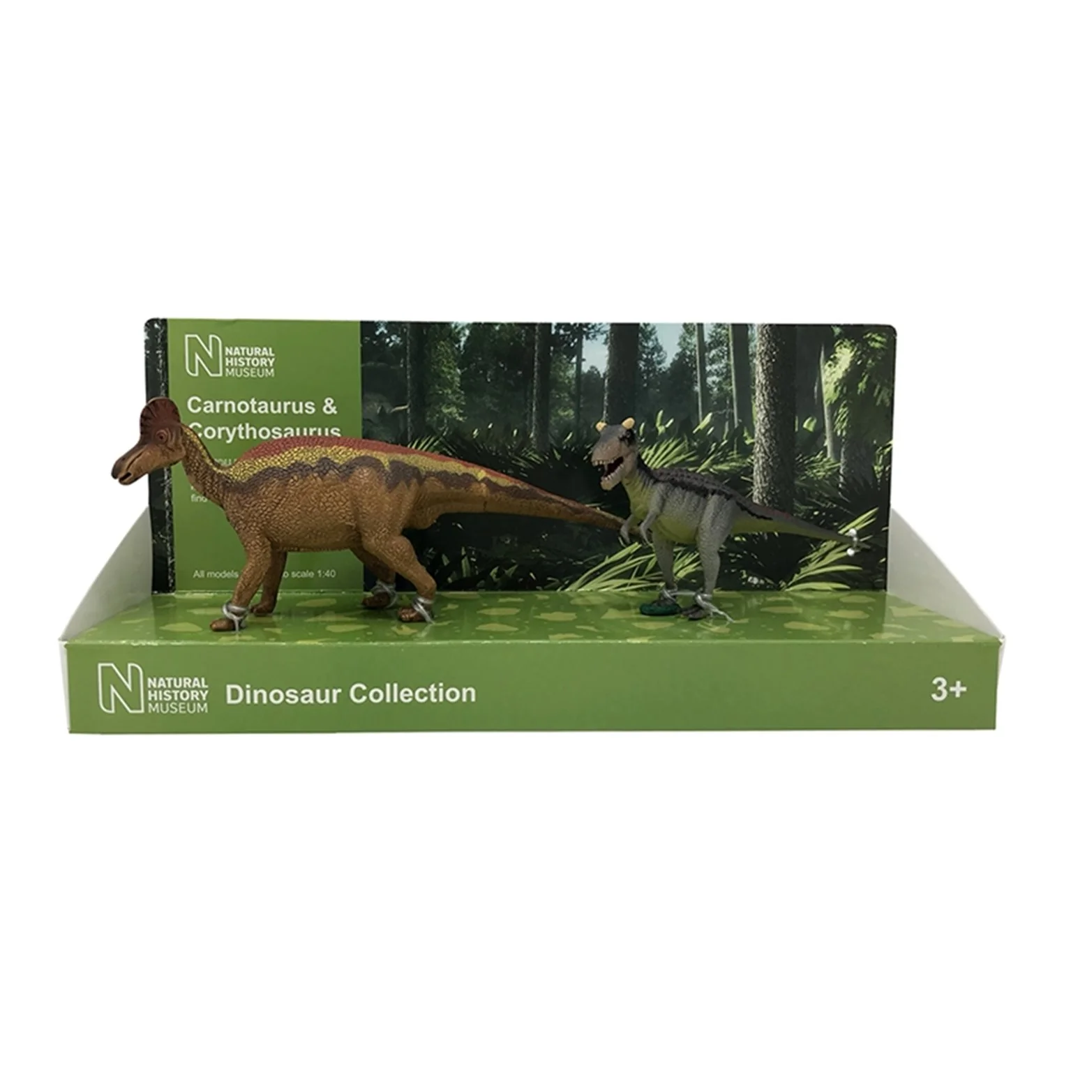 TW29210 Natural History Museum Carnotaurus & Corythosaurus - Image 2