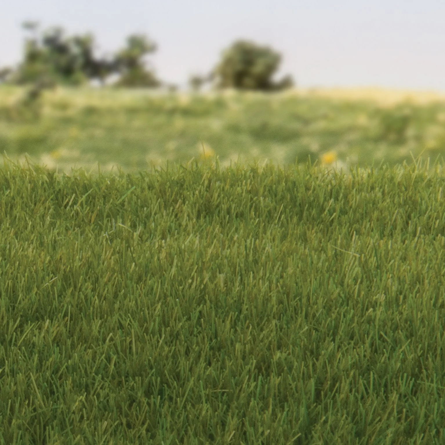 WFS617 FS617 4mm Static Grass Dark Green - Image 2