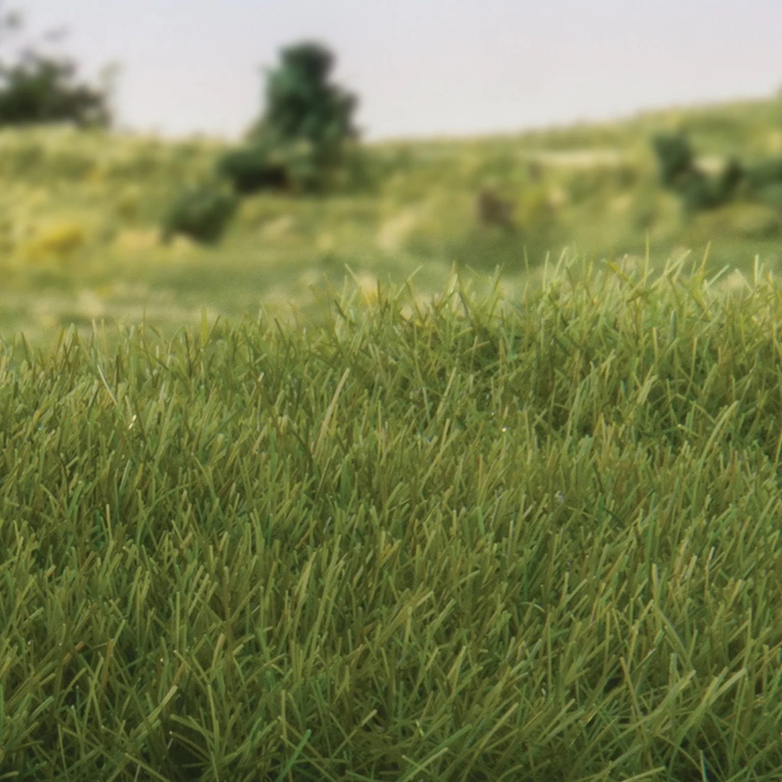 WFS621 FS621 7mm Static Grass Dark Green - Image 2