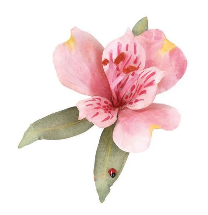 WT4647 T4647 Pollen - Red - Image 2