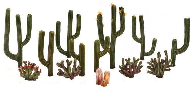 WTR3600 TR3600 ½"-2½" Classic Cactus Plants (13/Pk)